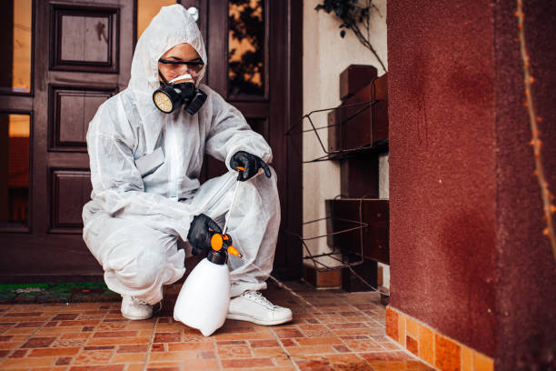 Reliable Mosquito Control contractor in Sardis City, AL by Show Me Pest Control